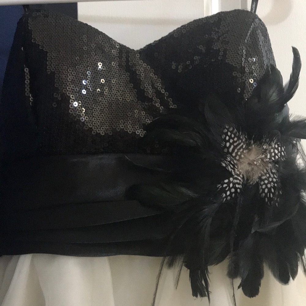 Holiday sequin feather dress